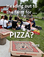 Pizza farms have sprouted across the country as agritourism grows, and theyre particularly popular in Minnesota and Wisconsin, where they provide small farms with extra income .